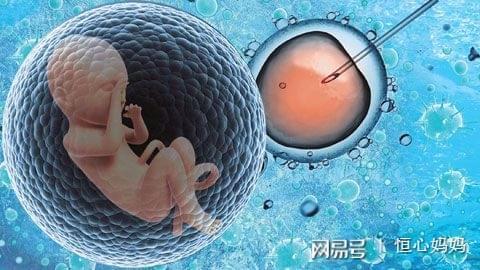 代生男孩机构